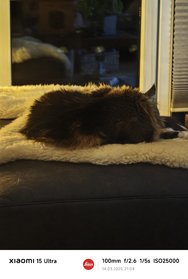IMG_20250314_210432.jpg
