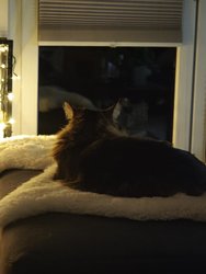 IMG_20250314_212708.jpg