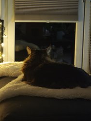 IMG_20250314_212659.jpg