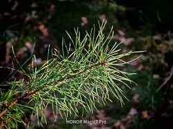 IMG_20250303_162719.jpg