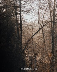 20250302_090502.jpg