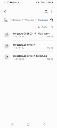 Screenshot_20250315_121235_My Files.jpg