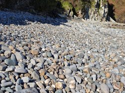 IMG_20250315_104217.jpg