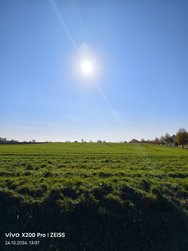 IMG_20241024_130747.jpg