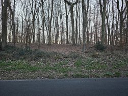 20250315_172417.jpg