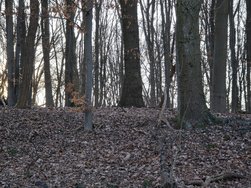 20250315_172420.jpg