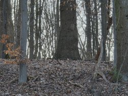 20250315_172422.jpg
