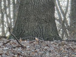 20250315_172425.jpg