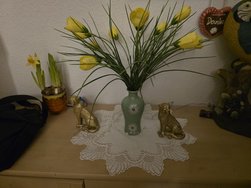 20250315_191034.jpg