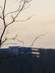 IMG_20250315_174126.jpg