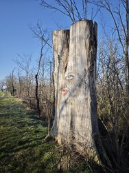 IMG_20250316_083612.jpg