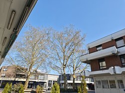 IMG_20250316_121125.jpg