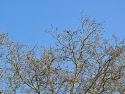 IMG_20250316_121128.jpg