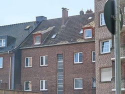 IMG_20250316_120047.jpg