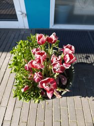 IMG_20250316_120022.jpg
