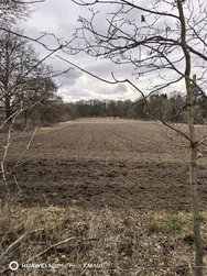 IMG_20250316_123027.jpg
