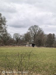 IMG_20250316_122326.jpg