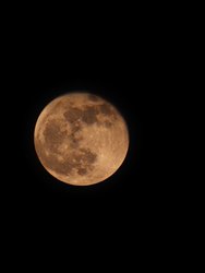IMG_20250315_205825.jpg