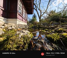 IMG_20250316_151745.jpg