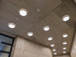 PSX_20250315_101508.jpg