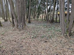 PXL_20250315_122244302.jpg