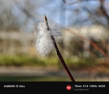 IMG_20250316_150757.jpg