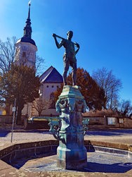 IMG_20250316_124018.jpg