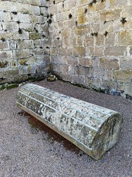 IMG_20250316_133031.jpg