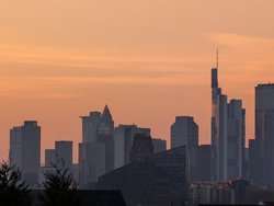 PXL_20250316_172027234.jpg