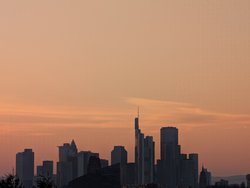 PXL_20250316_172057595.jpg
