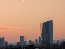 PXL_20250316_172127028.jpg