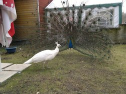 N8-00_20130414_120049.jpg