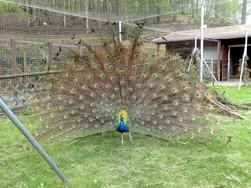 N95_20100501_133944.jpg