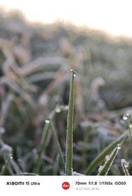 IMG_20250310_080645.jpg