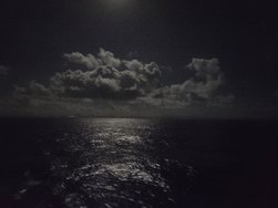 20250314_223830.jpg