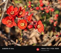IMG_20250316_154904.jpg