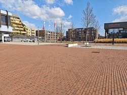 IMG_20250317_124104.jpg
