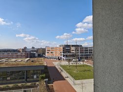IMG_20250317_124605.jpg