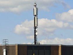 IMG_20250317_124610.jpg