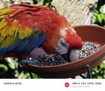 IMG_20240901_193431.jpg