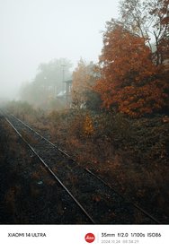 IMG_20241024_084302.jpg