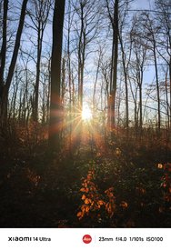 IMG_20241228_184813.jpg