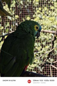 IMG_20240901_192034.jpg