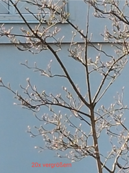 IMG_20250317_152018-1.png