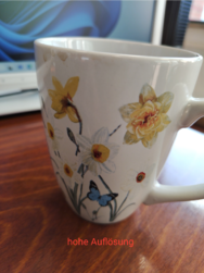 IMG_20250317_152413-1.png