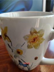 IMG_20250317_152235_HDR-1.png
