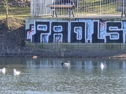 20250317_152825.jpg
