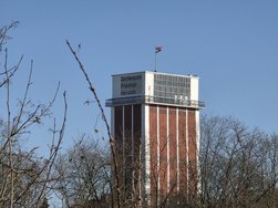 20250317_152942.jpg