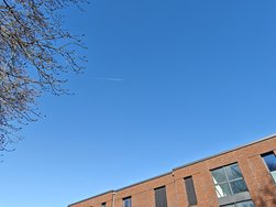 IMG_20250317_153525.jpg