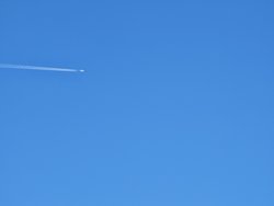 IMG_20250317_153527.jpg